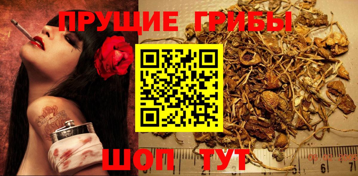 Галлюциногенные грибы GOLDEN TEACHER  Вход с VPN  Прохладный 